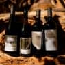 Four bottles of wine perched against a wood log